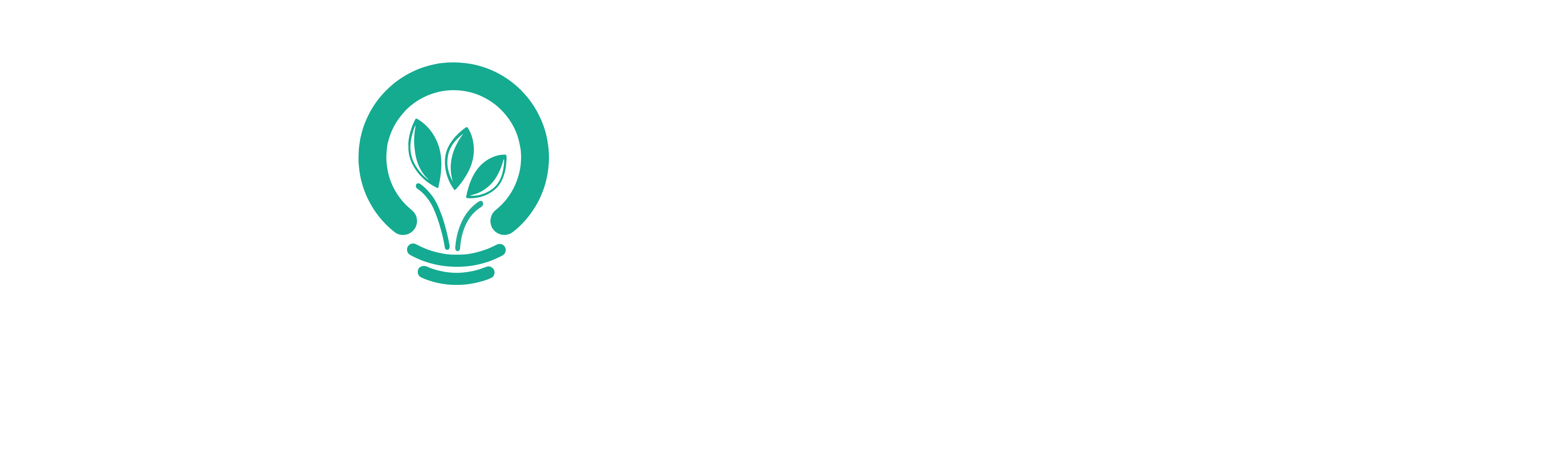 Ecolighting Power Supply Solutions